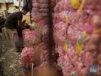 Ribuan Ton Bawang Putih Impor Senilai Rp 1,2 T Banjiri RI