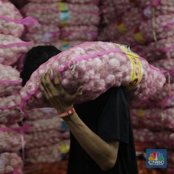 Jelang Lebaran, Impor Bawang Putih Melonjak 2.405%