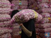 5 Temuan Ombudsman RI Soal Maladministrasi Impor Bawang Putih