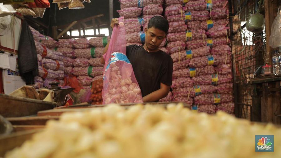 Mentan mengakui pelaku pasar panik saat ada kabar wabah corona sehingga harga bawang putih melompat tinggi.
