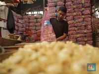 Pasar Panik! Harga Bawang Terbang, Importir Simpan Stok