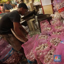Harga Bawang Putih Impor Terbang, Gegara Corona?