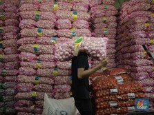 Duh! Harga Bawang Putih Diramal Bakal Terbang Terus Nih, Bun