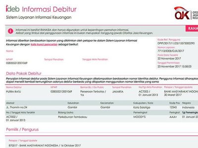 Cara Paling Gampang Bersihkan Nama dari SLIK OJK atau BI Checking
