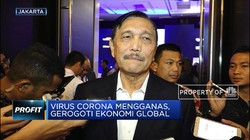 Luhut: Corona Mengganas, Gerogoti Ekonomi Global
