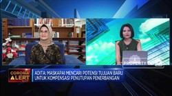 Ini Cara Kemenhub Atasi Dampak Larangan Terbang Akibat Corona