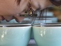 FOTO : Mengenal Geisha, Kopi Termahal di Dunia