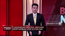 Cadev Januari 2020 Naik Jadi USD 131,7 Miliar