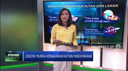 Jokowi Murka Kebakaran Hutan Masih Marak