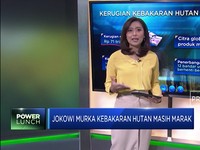 Jokowi Murka Kebakaran Hutan Masih Marak