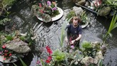 Orchid Festival 2020 dibuka untuk umum sejak Sabtu 8 Februari 2020 hingga 8 Maret 2020. (AP Photo/Frank Augstein)