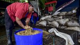 Kenikmatan kopi ini menarik perhatian penikmat kopi dari berbagai belahan dunia, terutama Korea Selatan. (Luis ACOSTA/AFP)
