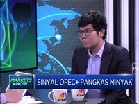 Opec+ Pangkas Produksi, Analis: Ini Untuk Stabilkan Harga
