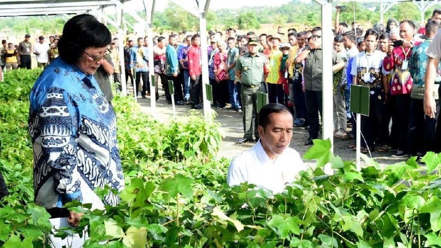 Kehadiran Presiden ini dilakukan sebelum keberangkatannya menuju Canberra, Australia.