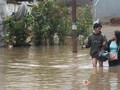 VIDEO: Banjir Rendam Beberapa Wilayah Jakarta