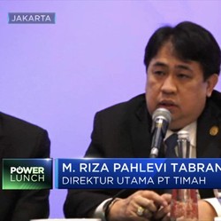 Andalan Luhut & Prabowo, Ini Nasib Rare Earth di PT Timah