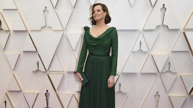 Deretan Artis di Red Carpet Oscars 2020.