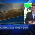 UE Diskriminasi Sawit RI, Analis: Ini Murni Kompetisi Bisnis