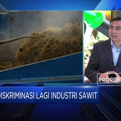 UE Diskriminasi Sawit RI, Analis: Ini Murni Kompetisi Bisnis