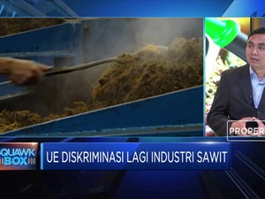 UE Diskriminasi Sawit RI, Analis: Ini Murni Kompetisi Bisnis