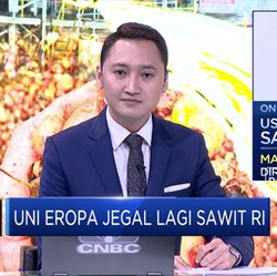 Strategi MGRO Hadapi Aturan Sawit Baru dari Uni Eropa