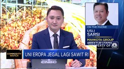 Strategi MGRO Hadapi Aturan Sawit Baru dari Uni Eropa