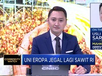 Strategi MGRO Hadapi Aturan Sawit Baru dari Uni Eropa