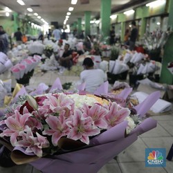 Intip Penjualan Bunga yang Makin Mahal Jelang Hari Valentine
