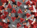 Ilmuwan China Prediksi Puncak Virus Corona Akhir Februari