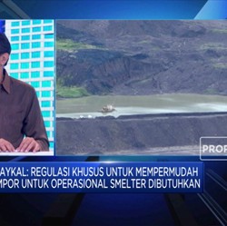 AP3I Usulkan Regulasi Substitusi Impor di Proyek Smelter