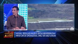 AP3I Usulkan Regulasi Substitusi Impor di Proyek Smelter