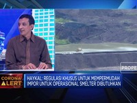 AP3I Usulkan Regulasi Substitusi Impor di Proyek Smelter