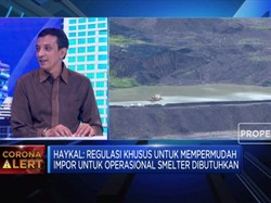 AP3I Usulkan Regulasi Substitusi Impor di Proyek Smelter