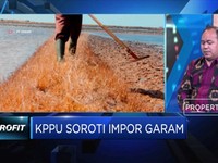 Soal Impor Garam, Ini Pandangan KPPU