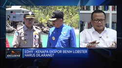 Jawaban Edhy Prabowo Soal Kontroversi Ekspor Benih Lobster