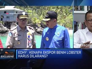 Jawaban Edhy Prabowo Soal Kontroversi Ekspor Benih Lobster