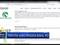 Triputra Agro Persada Bakal IPO