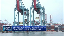 Mulai 7 Februari, Impor Binatang Hidup dari China Dilarang