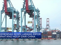 Mulai 7 Februari, Impor Binatang Hidup dari China Dilarang