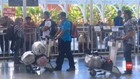 VIDEO: Petugas Cek Kabar Penderita Covid-19 Pernah ke Bali