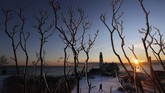 Es melapisi pepohonan di Portland Head Light, Fort Williams Park, saat seorang pengunjung tiba kawasan tersebut pada Sabtu (8/2) di Cape Elizabeth, AS. (AP Photo/Robert F. Bukaty)