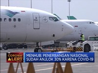 Waduh! Penerbangan Nasional Anjlok 30% karena Corona