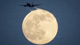 Sebuah pesawat tampak melintasi bulan saat terlihat dari Richmond Park di London, Sabtu (8/2). (Aaron Chown/PA via AP)