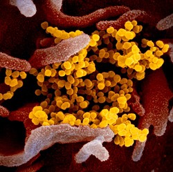 Pasien Virus Corona di Korsel Tembus 4.000, 22 Orang Tewas