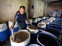 Toge Mas Toge Sukses Berkat KUR BNI