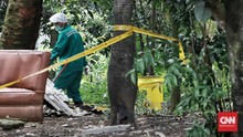Pohon Terpapar Radioaktif Serpong Ditebang, Ternak Diteliti