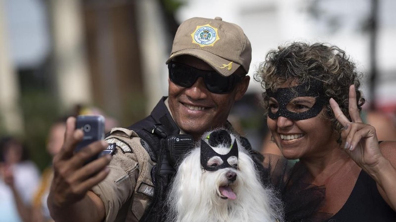 Sejumlah Anjing Tampil Dengan Kostum Unik Di Karnaval Brasil.