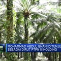 Erick Thohir Rombak Direksi BUMN, Kali Ini Holding Perkebunan