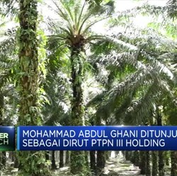 Erick Thohir Rombak Direksi BUMN, Kali Ini Holding Perkebunan