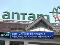 Antam Catat Kenaikan Penjualan Feronikel 9% pada 2019